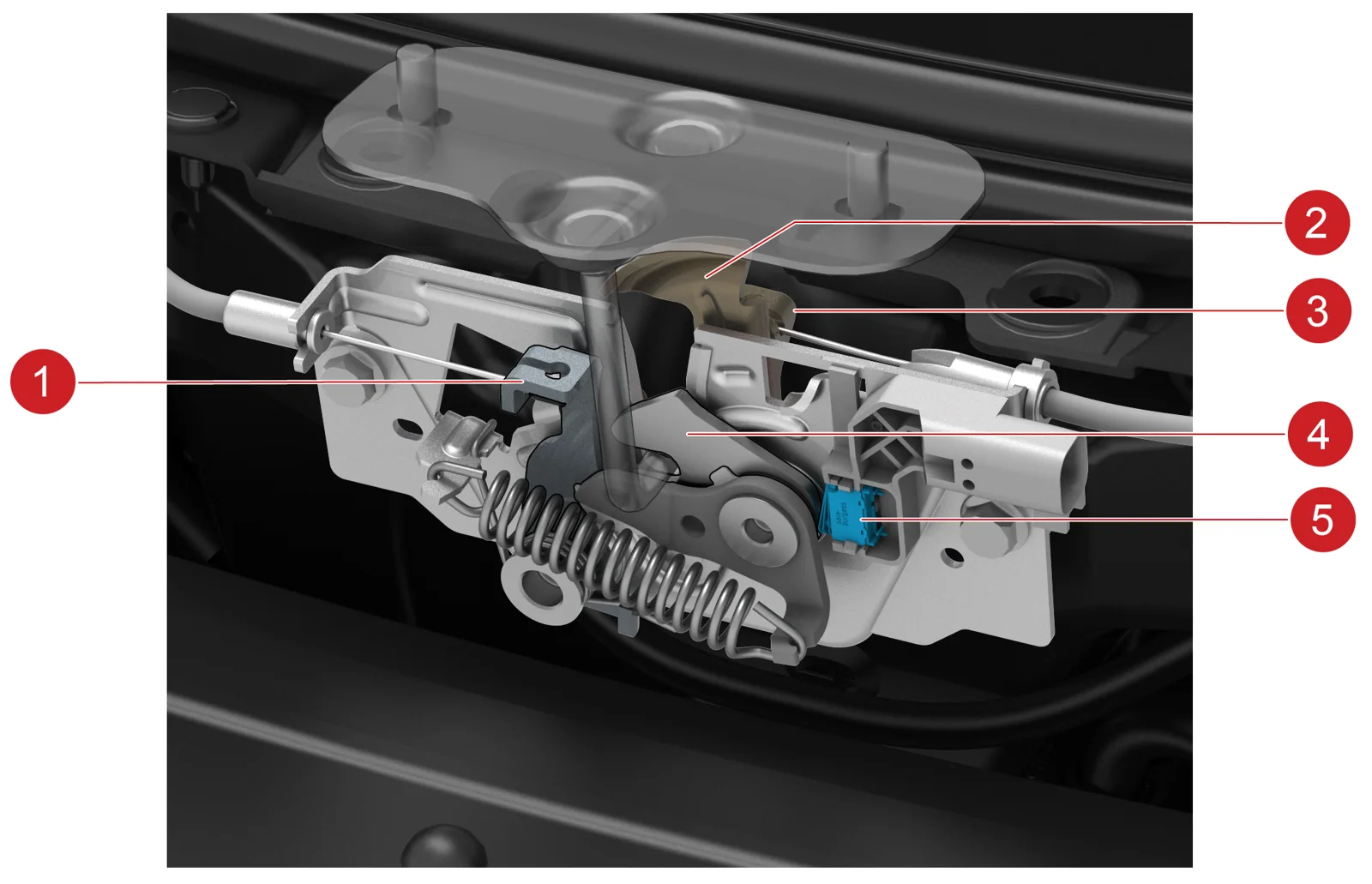 Замки капота і багажника Tesla: будова та аварійне відкриття